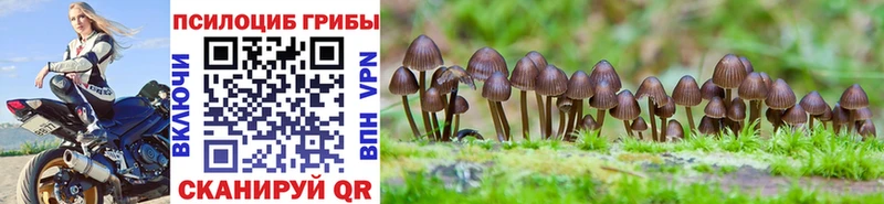 Псилоцибиновые грибы GOLDEN TEACHER Называевск